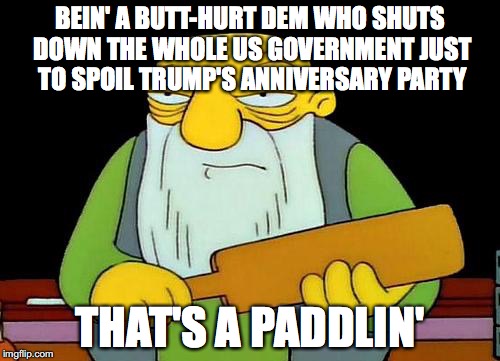 That's a paddlin' Meme | BEIN' A BUTT-HURT DEM WHO SHUTS DOWN THE WHOLE US GOVERNMENT JUST TO SPOIL TRUMP'S ANNIVERSARY PARTY; THAT'S A PADDLIN' | image tagged in memes,that's a paddlin' | made w/ Imgflip meme maker