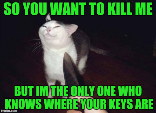 so you want to kill me? | SO YOU WANT TO KILL ME; BUT IM THE ONLY ONE WHO KNOWS WHERE YOUR KEYS ARE | image tagged in so you want to kill me | made w/ Imgflip meme maker