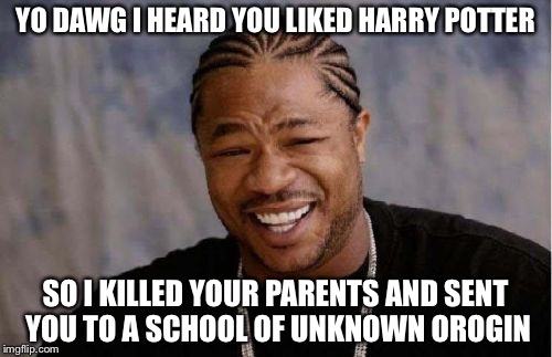 Yo Dawg Heard You | YO DAWG I HEARD YOU LIKED HARRY POTTER; SO I KILLED YOUR PARENTS AND SENT YOU TO A SCHOOL OF UNKNOWN OROGIN | image tagged in memes,yo dawg heard you | made w/ Imgflip meme maker