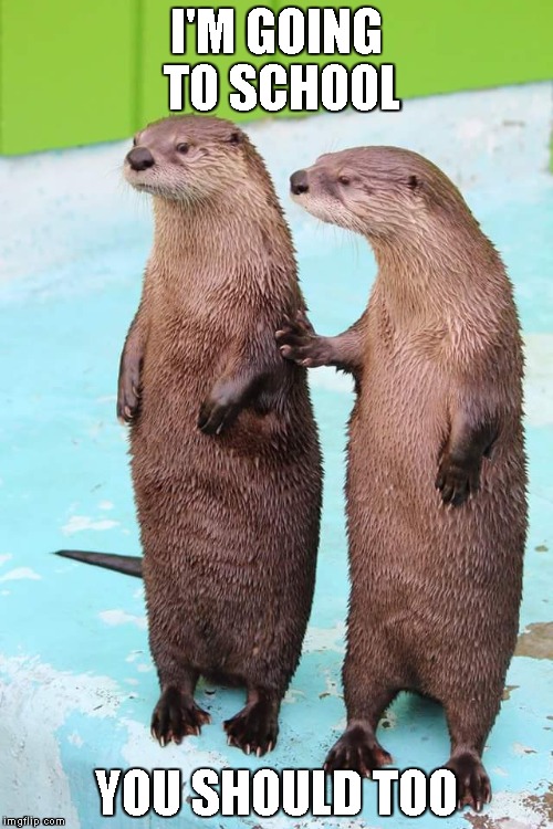 Otter Friends | I'M GOING TO SCHOOL; YOU SHOULD TOO | image tagged in otter friends | made w/ Imgflip meme maker