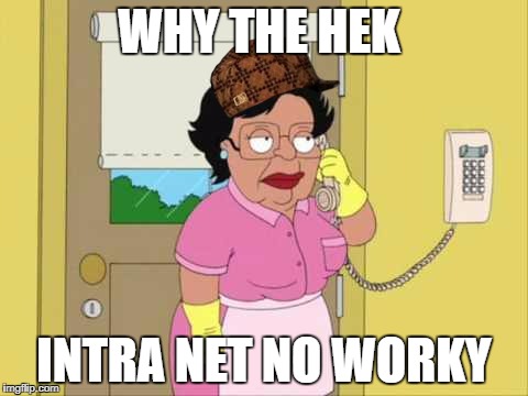 Consuela | WHY THE HEK; INTRA NET NO WORKY | image tagged in memes,consuela,scumbag | made w/ Imgflip meme maker