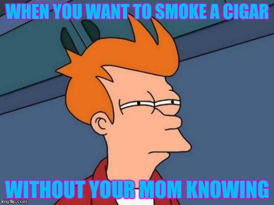 Futurama Fry Meme | WHEN YOU WANT TO SMOKE A CIGAR; WITHOUT YOUR MOM KNOWING | image tagged in memes,futurama fry | made w/ Imgflip meme maker