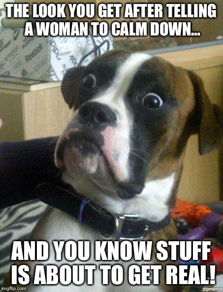 crazy dog | THE LOOK YOU GET AFTER TELLING A WOMAN TO CALM DOWN…; AND YOU KNOW STUFF IS ABOUT TO GET REAL! | image tagged in crazy dog | made w/ Imgflip meme maker