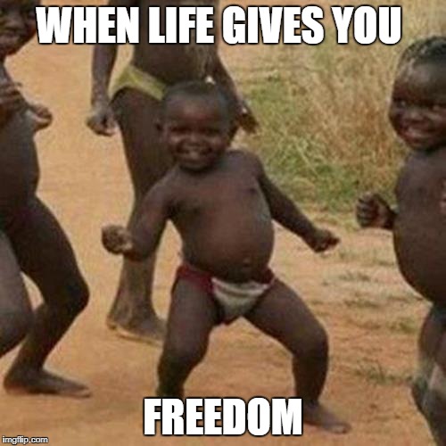 Third World Success Kid Meme | WHEN LIFE GIVES YOU; FREEDOM | image tagged in memes,third world success kid | made w/ Imgflip meme maker