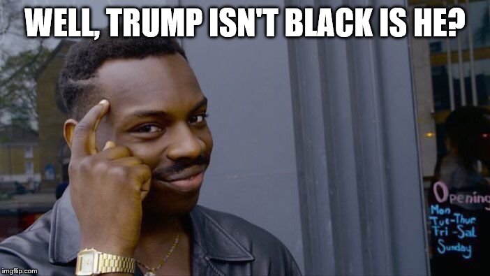 WELL, TRUMP ISN'T BLACK IS HE? | image tagged in memes,roll safe think about it | made w/ Imgflip meme maker
