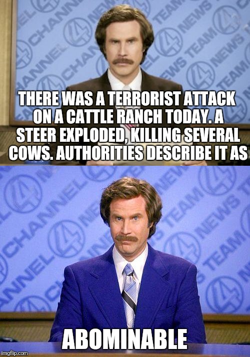 A Bomb In A Bull | THERE WAS A TERRORIST ATTACK ON A CATTLE RANCH TODAY. A STEER EXPLODED, KILLING SEVERAL COWS. AUTHORITIES DESCRIBE IT AS; ABOMINABLE | image tagged in memes,bad pun,ron burgundy,anchorman news update,terrorist,bomb | made w/ Imgflip meme maker