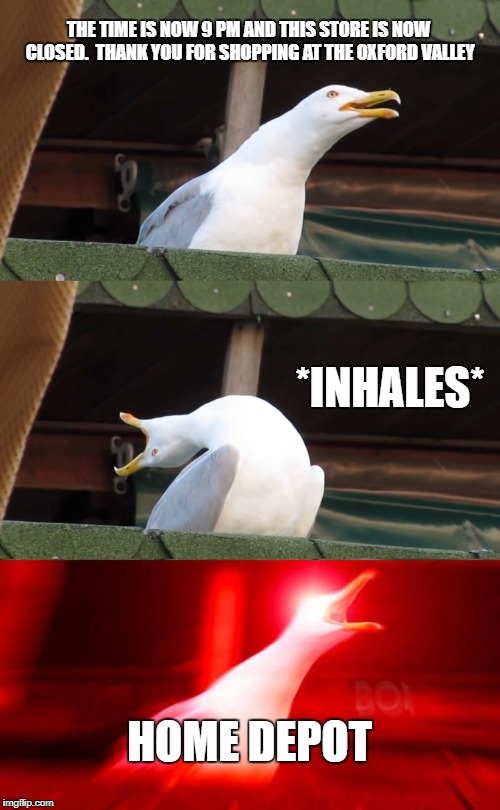 Inhaling seagull | THE TIME IS NOW 9 PM AND THIS STORE IS NOW CLOSED.  THANK YOU FOR SHOPPING AT THE OXFORD VALLEY; *INHALES*; HOME DEPOT | image tagged in inhaling seagull | made w/ Imgflip meme maker