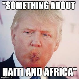 "Shithole" President | "SOMETHING ABOUT; HAITI AND AFRICA" | image tagged in accurate trump,shithole,countries,haiti,africa,drumpf | made w/ Imgflip meme maker