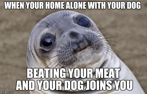 Awkward Moment Sealion Meme | WHEN YOUR HOME ALONE WITH YOUR DOG; BEATING YOUR MEAT AND YOUR DOG JOINS YOU | image tagged in memes,awkward moment sealion | made w/ Imgflip meme maker