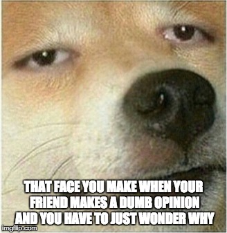 THAT FACE YOU MAKE WHEN YOUR FRIEND MAKES A DUMB OPINION AND YOU HAVE TO JUST WONDER WHY | image tagged in omg | made w/ Imgflip meme maker