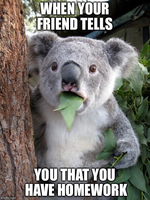 Surprised Koala Meme | WHEN YOUR FRIEND TELLS; YOU THAT YOU HAVE HOMEWORK | image tagged in memes,surprised koala | made w/ Imgflip meme maker