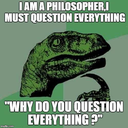 Philosoraptor | I AM A PHILOSOPHER,I MUST QUESTION EVERYTHING; "WHY DO YOU QUESTION EVERYTHING ?" | image tagged in memes,philosoraptor | made w/ Imgflip meme maker