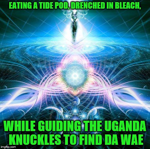 EATING A TIDE POD, DRENCHED IN BLEACH, WHILE GUIDING THE UGANDA KNUCKLES TO FIND DA WAE | made w/ Imgflip meme maker