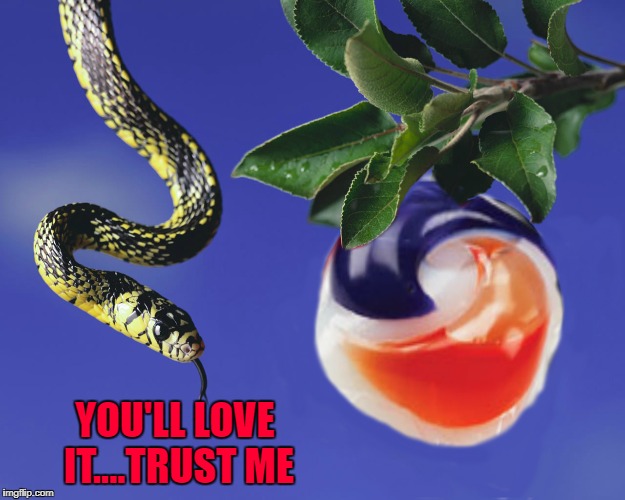 YOU'LL LOVE IT....TRUST ME | made w/ Imgflip meme maker