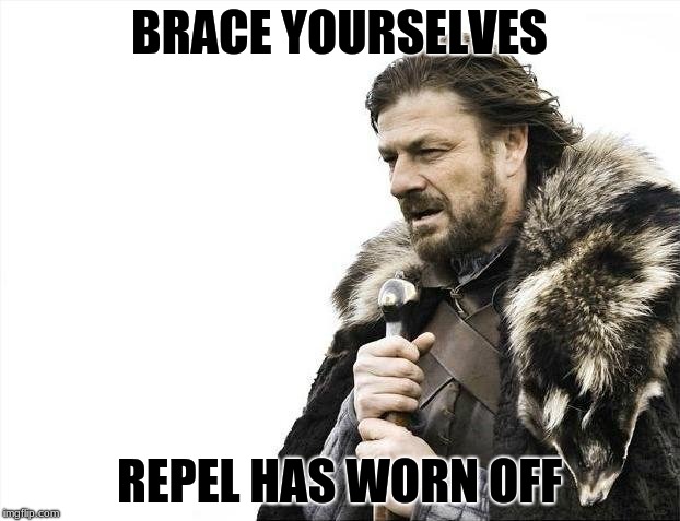 Brace Yourselves X is Coming Meme | BRACE YOURSELVES; REPEL HAS WORN OFF | image tagged in memes,brace yourselves x is coming | made w/ Imgflip meme maker