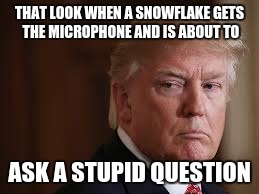 THAT LOOK WHEN A SNOWFLAKE GETS THE MICROPHONE AND IS ABOUT TO; ASK A STUPID QUESTION | image tagged in snowflakes,trump,that look | made w/ Imgflip meme maker