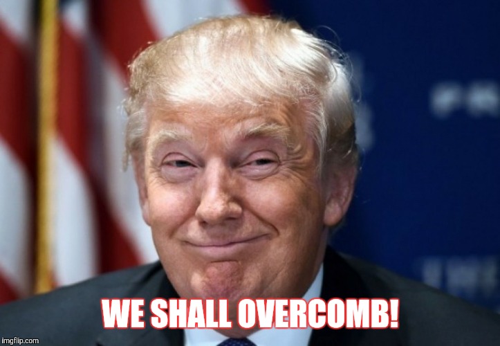 BAD HAIR TERM | WE SHALL OVERCOMB! | image tagged in donald trump,politics,american politics | made w/ Imgflip meme maker