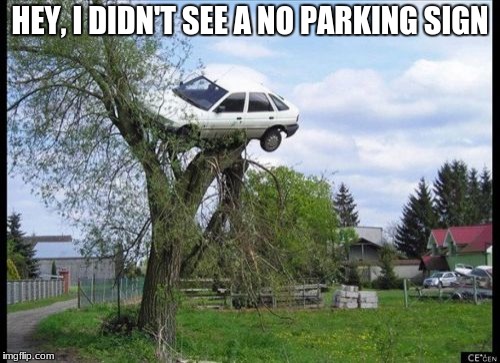 Secure Parking Meme | HEY, I DIDN'T SEE A NO PARKING SIGN | image tagged in memes,secure parking | made w/ Imgflip meme maker