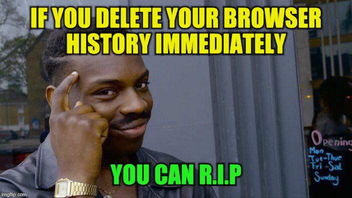 Roll Safe Think About It Meme | IF YOU DELETE YOUR BROWSER HISTORY IMMEDIATELY YOU CAN R.I.P | image tagged in memes,roll safe think about it | made w/ Imgflip meme maker