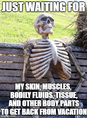 Waiting Skeleton | JUST WAITING FOR; MY SKIN, MUSCLES, BODILY FLUIDS, TISSUE, AND OTHER BODY PARTS TO GET BACK FROM VACATION | image tagged in memes,waiting skeleton,skin,muscle,tissue,vacation | made w/ Imgflip meme maker