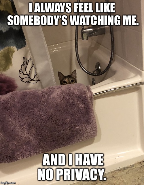 Watching | I ALWAYS FEEL LIKE SOMEBODY’S WATCHING ME. AND I HAVE NO PRIVACY. | image tagged in watching | made w/ Imgflip meme maker