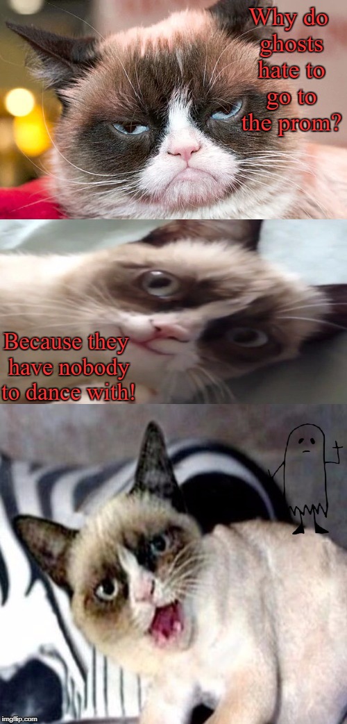 Bad Pun Grumpy Cat | Why do ghosts hate to go to the prom? Because they have nobody to dance with! | image tagged in bad pun grumpy cat,ghost week,grumpy cat,jokes,memes | made w/ Imgflip meme maker