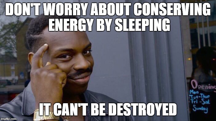 Roll Safe Think About It Meme | DON'T WORRY ABOUT CONSERVING ENERGY BY SLEEPING; IT CAN'T BE DESTROYED | image tagged in memes,roll safe think about it | made w/ Imgflip meme maker