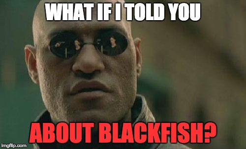 Matrix Morpheus and Blackfish | WHAT IF I TOLD YOU; ABOUT BLACKFISH? | image tagged in memes,matrix morpheus,blackfish,tilikum,seaworld,what if i told you | made w/ Imgflip meme maker