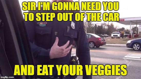 SIR I'M GONNA NEED YOU TO STEP OUT OF THE CAR AND EAT YOUR VEGGIES | made w/ Imgflip meme maker