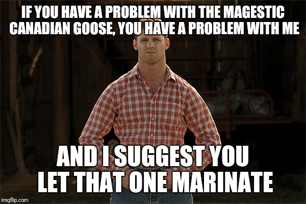 Letterkenny | IF YOU HAVE A PROBLEM WITH THE MAGESTIC CANADIAN GOOSE, YOU HAVE A PROBLEM WITH ME; AND I SUGGEST YOU LET THAT ONE MARINATE | image tagged in letterkenny | made w/ Imgflip meme maker