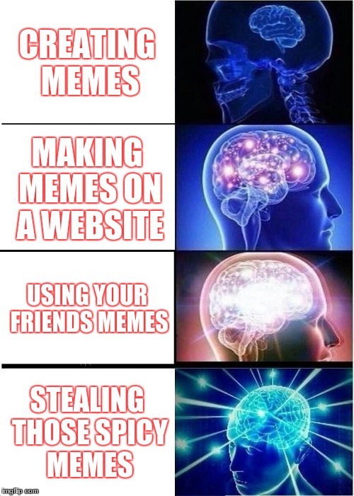 the meme brain | CREATING MEMES; MAKING MEMES ON A WEBSITE; USING YOUR FRIENDS MEMES; STEALING THOSE SPICY MEMES | image tagged in memes,expanding brain | made w/ Imgflip meme maker