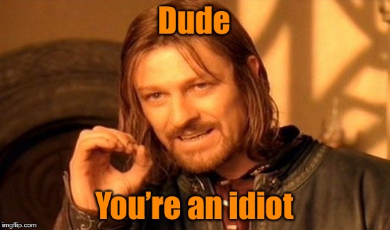 One Does Not Simply Meme | Dude You’re an idiot | image tagged in memes,one does not simply | made w/ Imgflip meme maker