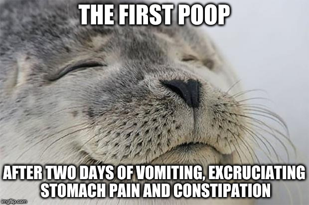 Satisfied Seal Meme | THE FIRST POOP; AFTER TWO DAYS OF VOMITING, EXCRUCIATING STOMACH PAIN AND CONSTIPATION | image tagged in memes,satisfied seal | made w/ Imgflip meme maker