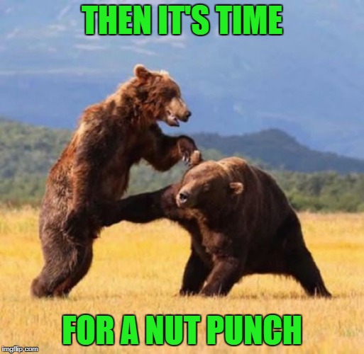 THEN IT'S TIME FOR A NUT PUNCH | made w/ Imgflip meme maker