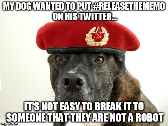 Arf Arf Bleep Bloop  | MY DOG WANTED TO PUT #RELEASETHEMEMO ON HIS TWITTER... IT'S NOT EASY TO BREAK IT TO SOMEONE THAT THEY ARE NOT A ROBOT | image tagged in russian bot,russian bots,releasethememo | made w/ Imgflip meme maker