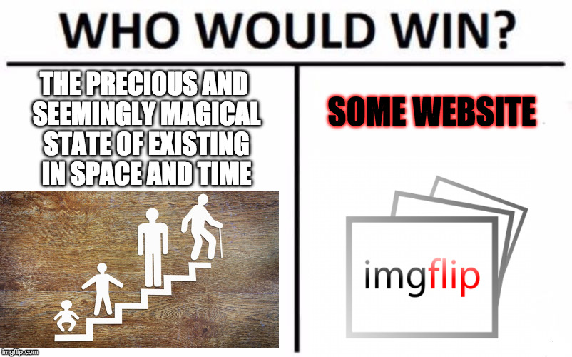 I think we all know | THE PRECIOUS AND SEEMINGLY MAGICAL STATE OF EXISTING IN SPACE AND TIME; SOME WEBSITE | image tagged in memes,who would win,funny,imgflip,life | made w/ Imgflip meme maker