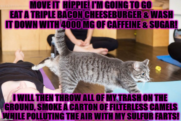 MOVE IT  HIPPIE! I'M GOING TO GO EAT A TRIPLE BACON CHEESEBURGER & WASH IT DOWN WITH 4000 MG OF CAFFEINE & SUGAR! I WILL THEN THROW ALL OF MY TRASH ON THE GROUND, SMOKE A CARTON OF FILTERLESS CAMELS WHILE POLLUTING THE AIR WITH MY SULFUR FARTS! | image tagged in smug hippies | made w/ Imgflip meme maker
