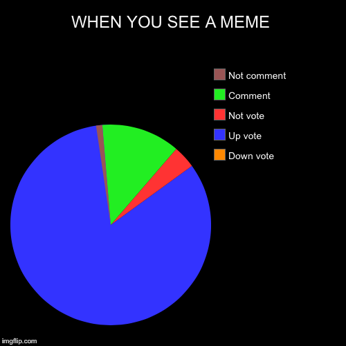 WHEN YOU SEE A MEME | Down vote, Up vote, Not vote, Comment, Not comment | image tagged in funny,pie charts | made w/ Imgflip chart maker