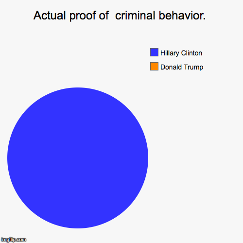 Actual proof of  criminal behavior. | Donald Trump, Hillary Clinton | image tagged in funny,pie charts | made w/ Imgflip chart maker