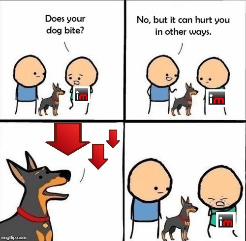 the dog hurts people by downvotes instead of his teeth | image tagged in does your dog bite | made w/ Imgflip meme maker