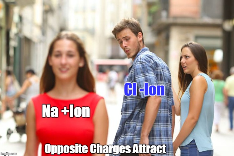Ionic Bonds  | Cl -Ion; Na +Ion; Opposite Charges Attract | image tagged in memes,biology,bonds,opposites | made w/ Imgflip meme maker