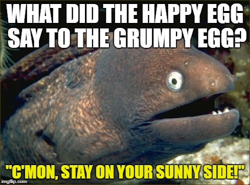 Bad Joke Eel | WHAT DID THE HAPPY EGG SAY TO THE GRUMPY EGG? "C'MON, STAY ON YOUR SUNNY SIDE!" | image tagged in memes,bad joke eel | made w/ Imgflip meme maker