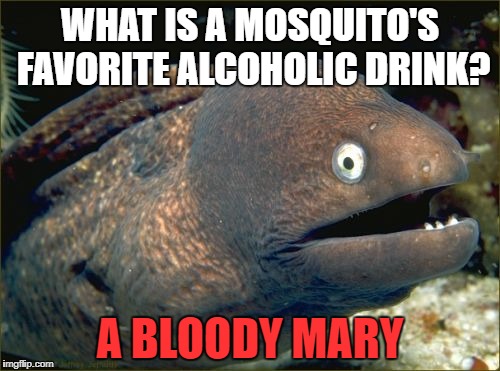 Bad Joke Eel Meme | WHAT IS A MOSQUITO'S FAVORITE ALCOHOLIC DRINK? A BLOODY MARY | image tagged in memes,bad joke eel | made w/ Imgflip meme maker
