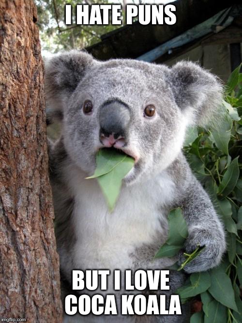 Surprised Koala Meme | I HATE PUNS; BUT I LOVE COCA KOALA | image tagged in memes,surprised koala | made w/ Imgflip meme maker