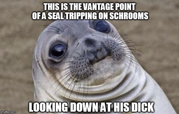 Awkward Moment Sealion Meme | THIS IS THE VANTAGE POINT OF A SEAL TRIPPING ON SCHROOMS; LOOKING DOWN AT HIS DICK | image tagged in memes,awkward moment sealion | made w/ Imgflip meme maker
