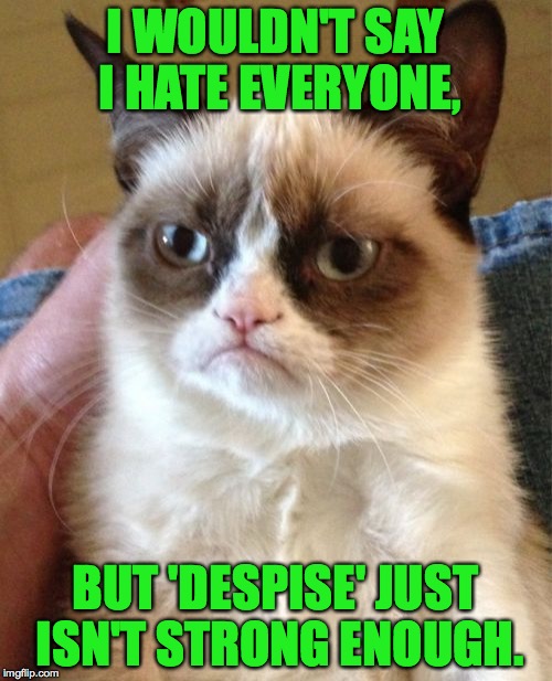 Grumpy opens up a little. | I WOULDN'T SAY I HATE EVERYONE, BUT 'DESPISE' JUST ISN'T STRONG ENOUGH. | image tagged in memes,grumpy cat,hate | made w/ Imgflip meme maker