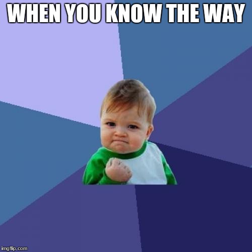 Success Kid | WHEN YOU KNOW THE WAY | image tagged in memes,success kid | made w/ Imgflip meme maker