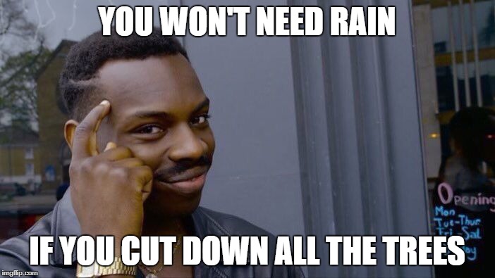 Roll Safe Think About It Meme | YOU WON'T NEED RAIN IF YOU CUT DOWN ALL THE TREES | image tagged in memes,roll safe think about it | made w/ Imgflip meme maker