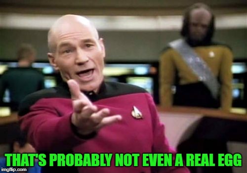 Picard Wtf Meme | THAT'S PROBABLY NOT EVEN A REAL EGG | image tagged in memes,picard wtf | made w/ Imgflip meme maker