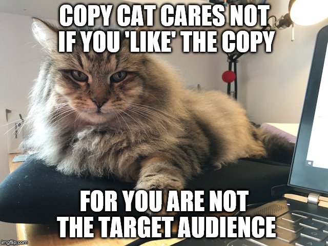 Copy Cat | COPY CAT CARES NOT IF YOU 'LIKE' THE COPY; FOR YOU ARE NOT THE TARGET AUDIENCE | image tagged in copy,fundraising,creative | made w/ Imgflip meme maker